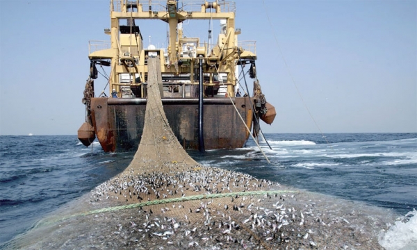 Transparence dans la gestion des ressources naturelles : Le Sénégal publie la liste des navires autorisés à pêcher