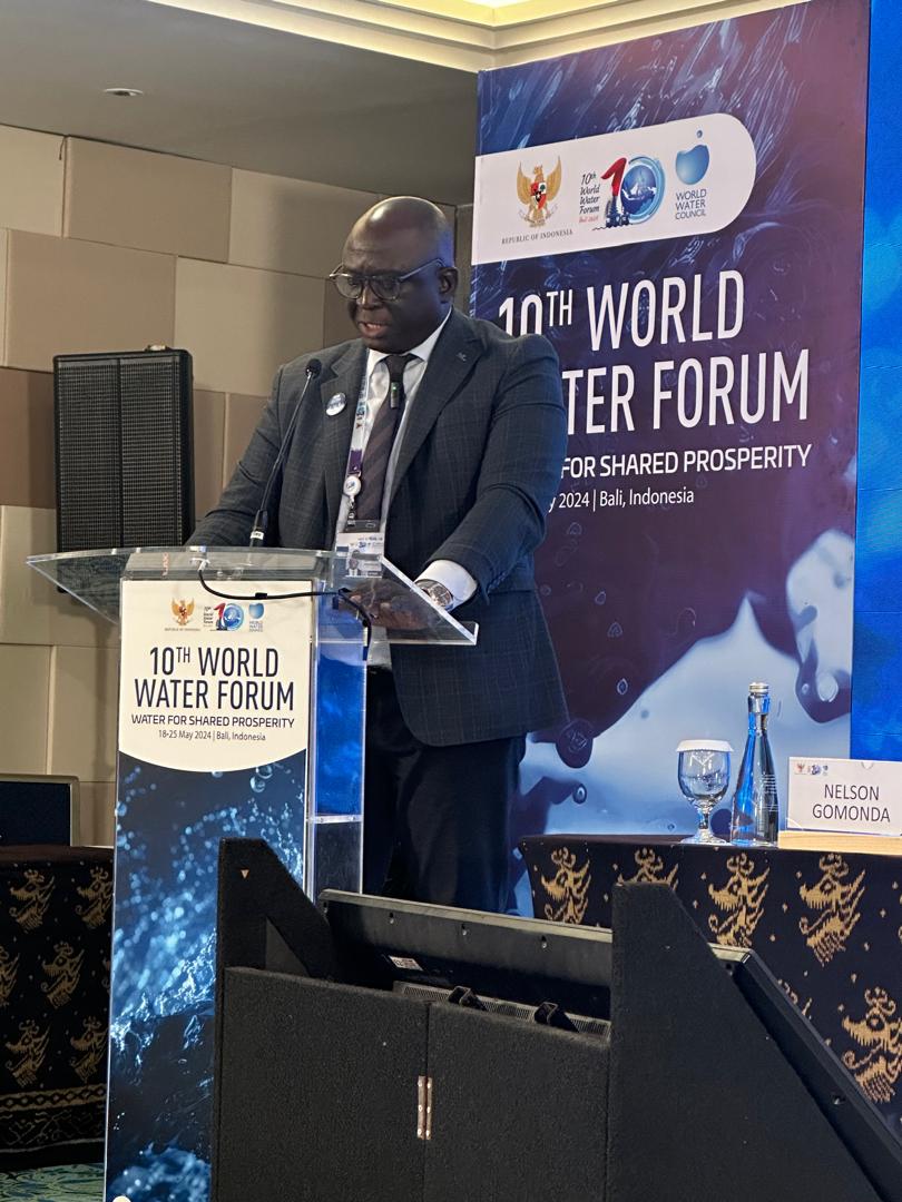 Forum Mondial de l’Eau à Bali : Seydou Sané plaide pour une gestion durable des ressources en eau transfrontalières