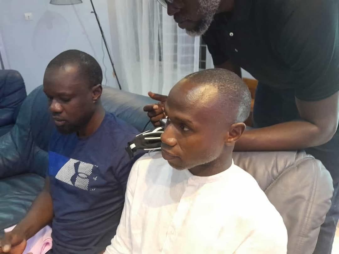 Pape Mamaille Diockou : Du barreau de Paris à l’engagement politique au Sénégal