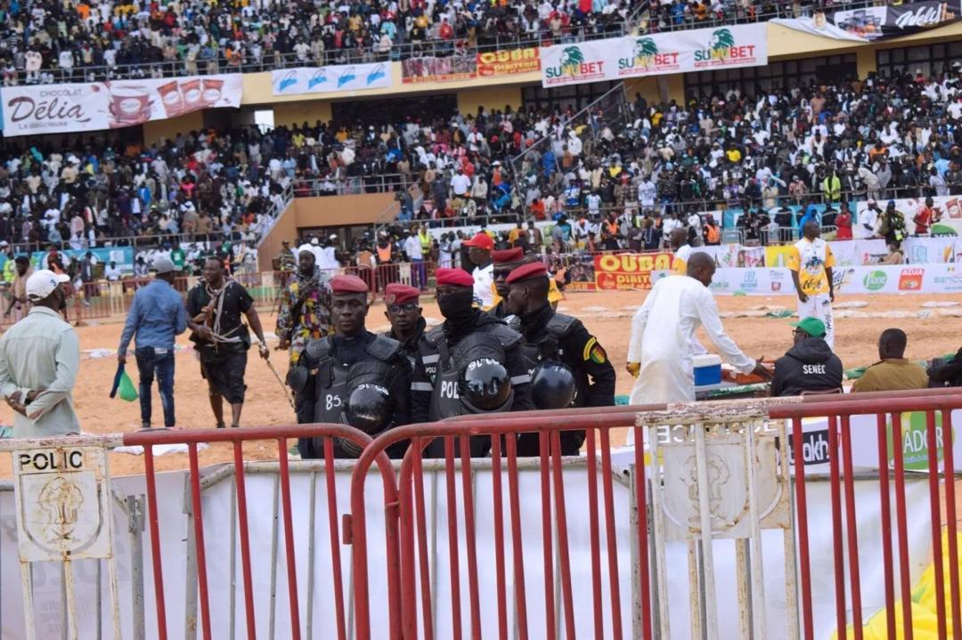 Lutte sénégalaise : la FSL sous pression après les exigences des sponsors