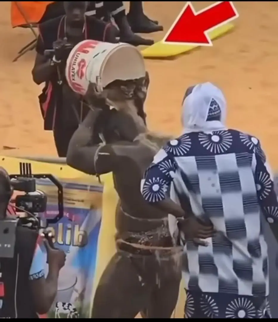 Chatons utilisés lors du combat Reug Reug-Boy Niang 2 : la Direction des Parcs nationaux monte au créneau