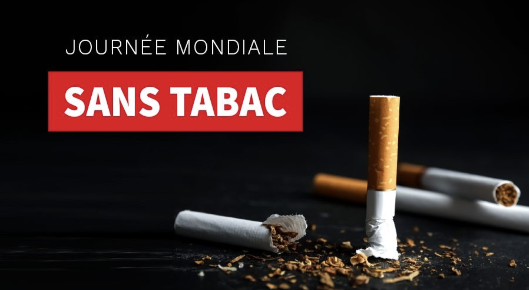 Lutte contre le tabac : sous l’impulsion de Diomaye Faye, le Sénégal renforce la protection de sa jeunesse