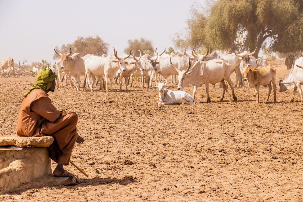 Des indicateurs pour mieux mesurer l’adaptation climatique au Sénégal