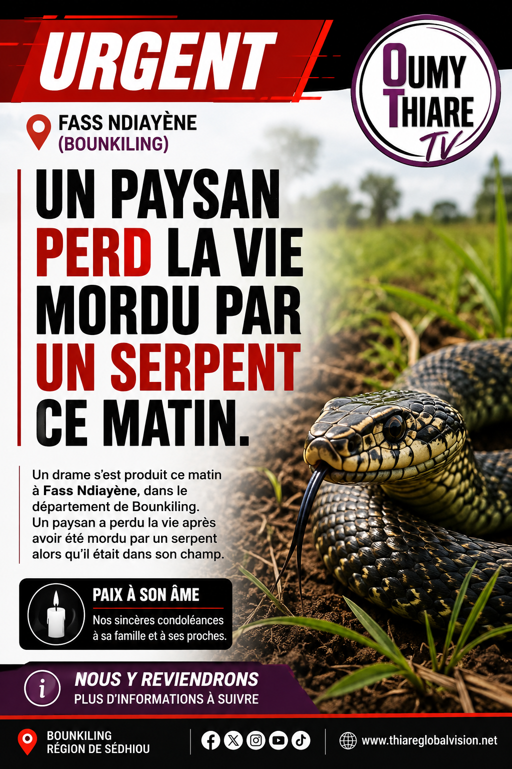Fass Ndiayène : un paysan perd la vie après une morsure de serpent