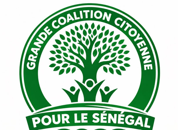 Une nouvelle coalition politique veut redonner sa place au citoyen