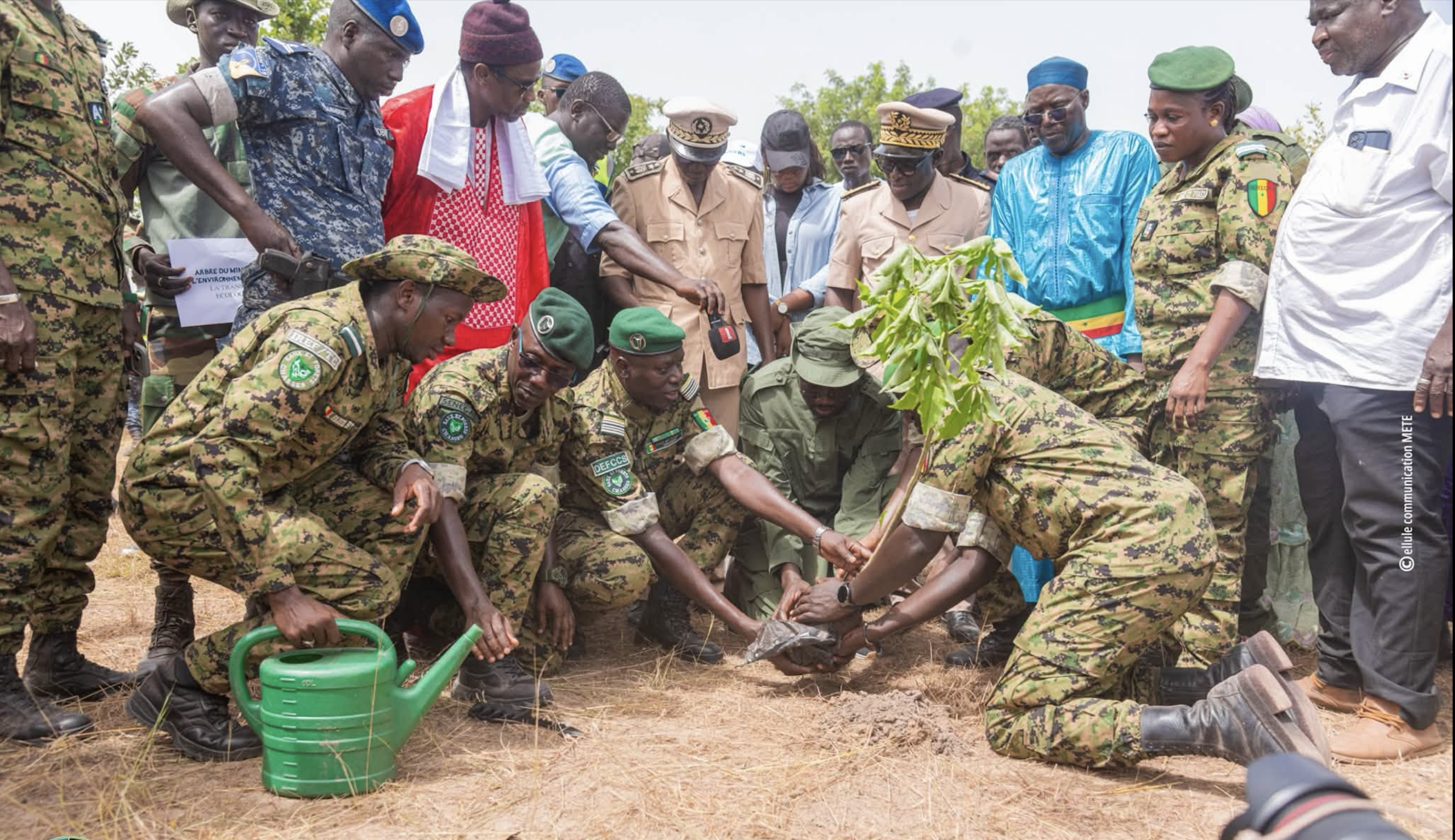 Reboisement 2026 : la caravane écologique poursuit son action à Tambacounda