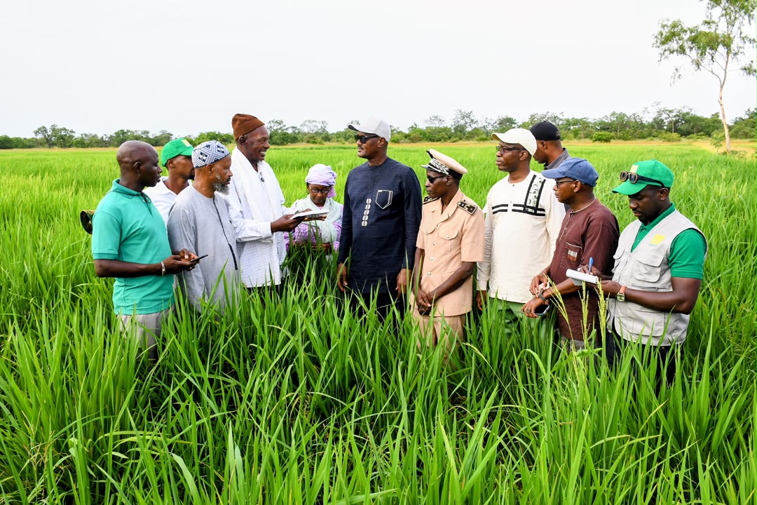 Kédougou : le ministre Cheikhou Oumar Bâ à la rencontre des producteurs