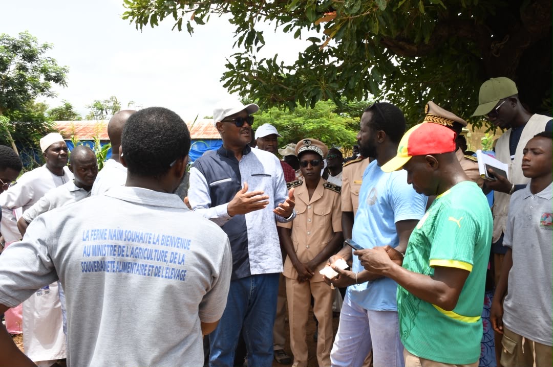Kédougou : Cheikhou Oumar Bâ évalue l’état de la campagne agricole