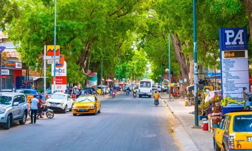 Comment la Ceinture verte peut-elle transformer l’environnement des villes sénégalaises ?