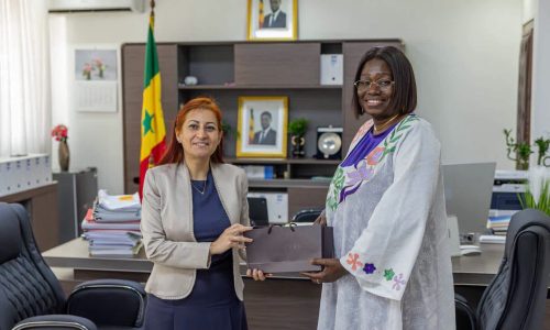Sénégal–Türkiye : un partenariat renforcé au service des populations