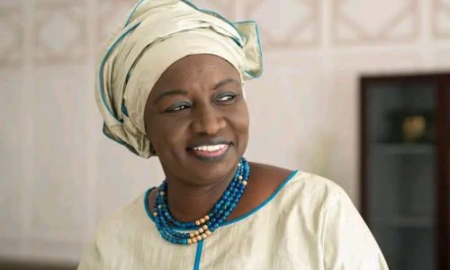 Crédits spéciaux : Mimi Touré met en doute le caractère ordinaire des fonds de Sonko