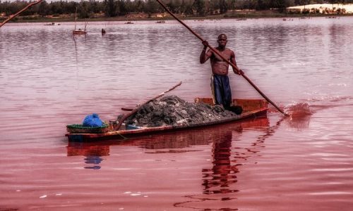 Lac Rose : la filière sel à l’heure de la transformation industrielle