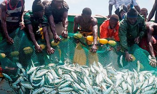 Pêche illicite et non réglementée : 24 navires arraisonnés en six mois (officiel)