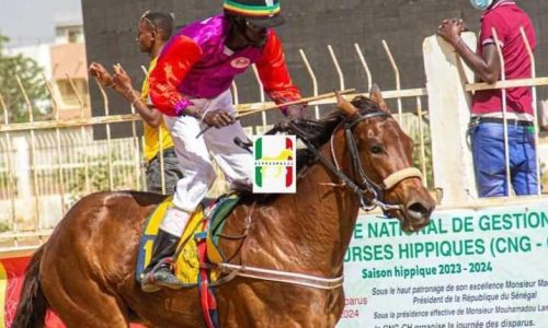 Hippisme : El Capo remporte le Grand Prix du Chef de l’État 2025