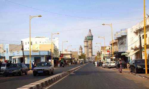 Touba accueillera la cérémonie officielle de la Journée nationale de l’arbre le 4 août prochain
