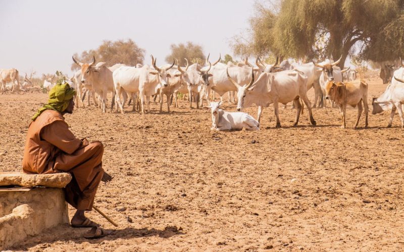 Des indicateurs pour mieux mesurer l’adaptation climatique au Sénégal