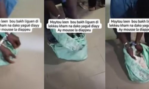 Dakar : deux vendeurs nigériens arrêtés pour tentative de vente de viande de chat à Médina