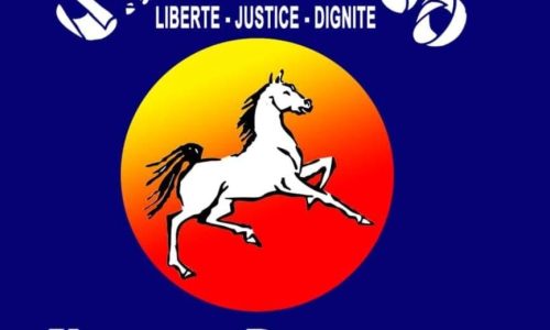 Arrêt de la CJ de la CEDEAO : L’UDS-TOGO invite les autorités togolaises à tirer les conséquences politiques qui s’imposent.
