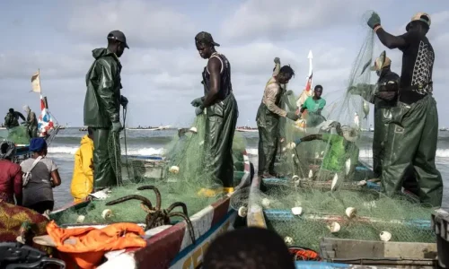 Pêche : Moustapha Dème appelle à privilégier le marché local