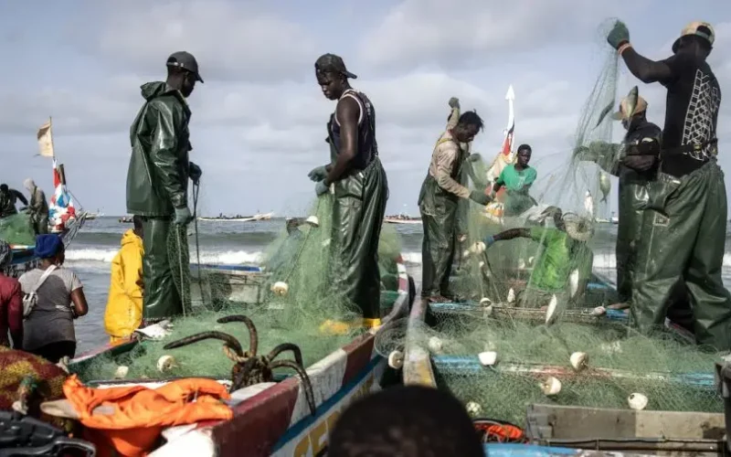 Pêche : Moustapha Dème appelle à privilégier le marché local