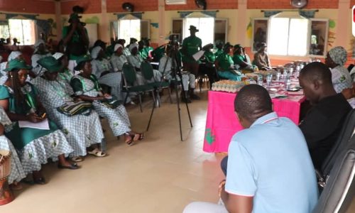 Afrique de l’Ouest : les femmes rurales unies autour de l’agroécologie à Ziguinchor