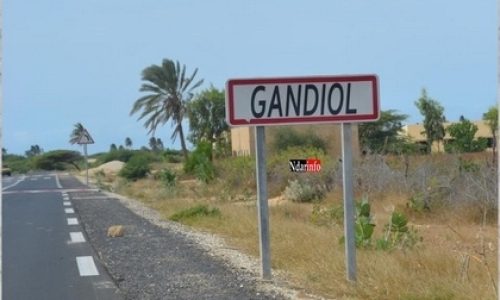 Changement climatique : Tassinere, un grenier agricole en péril
