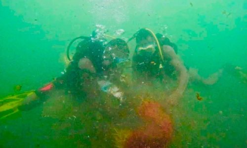 Yoff : opération de nettoyage des fonds marins