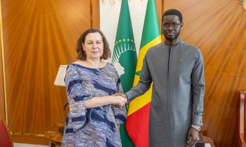 FMI : les conclusions de la mission présentées à Diomaye Faye