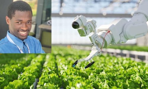 Mouhamed Gadiaga : le pionnier des drones agricoles au Sénégal