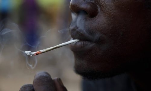 Propagation du Kush en Afrique de l’Ouest, une menace grandissante