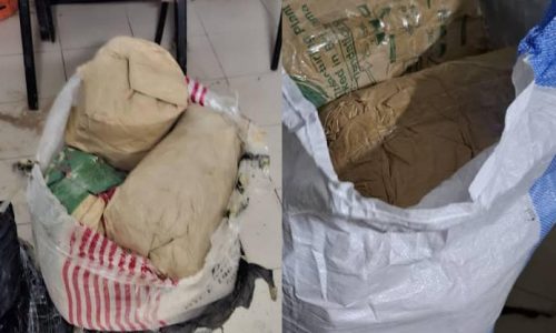 Saisie de 97,5 kg de chanvre indien à Ziguinchor : cinq individus interpellés dans une opération de l’OCRTIS