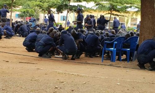 Fin de contrat pour 312 PAV : Sonko dément toute purge politique