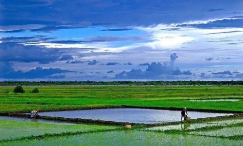 Casamance : une terre d’opportunités pour les investissements durables
