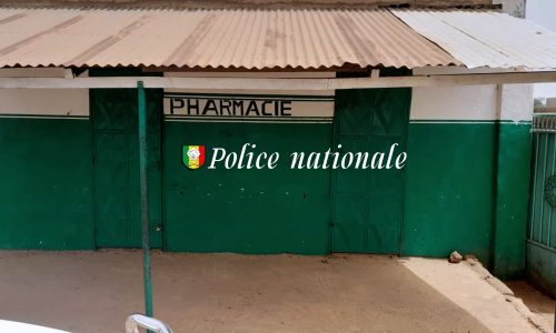 Lutte contre les médicaments falsifiés : plus de 80 kg saisis à Kaolack et Fatick