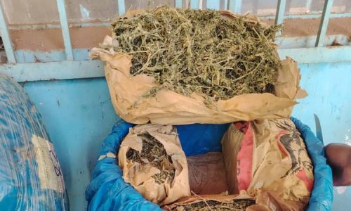 Saisie de 206 kg de chanvre indien au large de la plage de Hann : un coup de filet de la gendarmerie