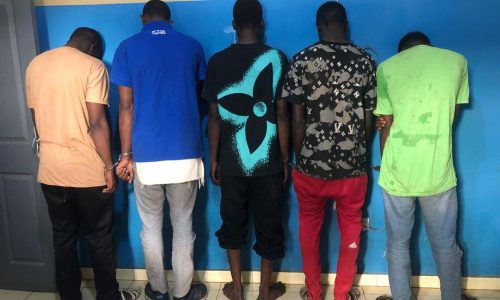 Dias : la brigade de proximité démantèle un réseau de trafic de chanvre indien