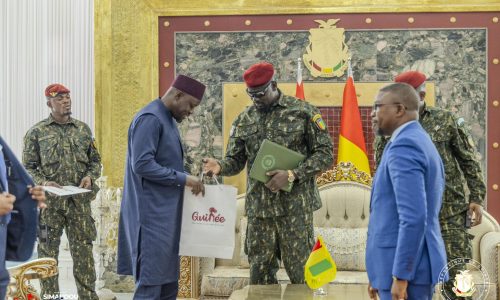 Ousmane Sonko reçu à Conakry par le président guinéen Mamadi Doumbouya