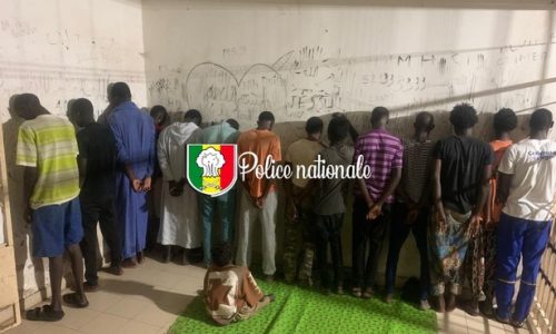 Démantèlement d’un important réseau de trafic de drogue à Ngor