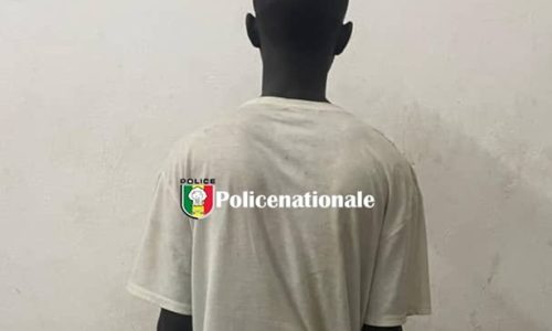 Mbacké : un agresseur armé arrêté après une attaque violente à Palène