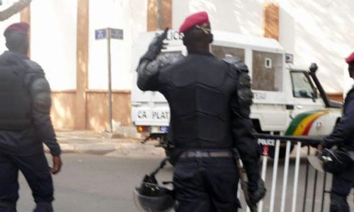 Dakar : interpellation d’un dealer notoire à Diogny Fatou Maïga