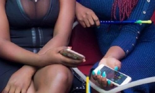 Cap-Skirring : un réseau de prostitution clandestine démantelé