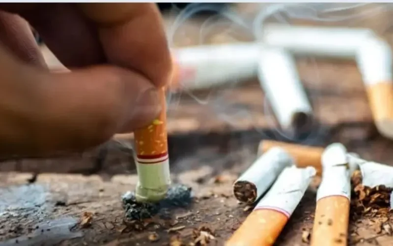 Comment SimTax veut repenser la taxation du tabac au Sénégal ?