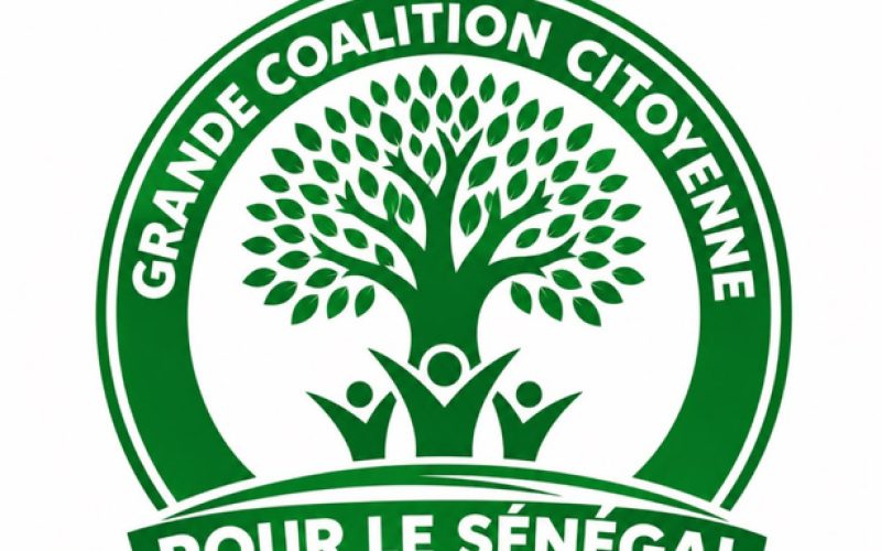 Une nouvelle coalition politique veut redonner sa place au citoyen