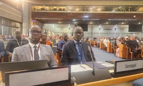 ANUE-7 : le Sénégal réaffirme son engagement pour une planète résiliente