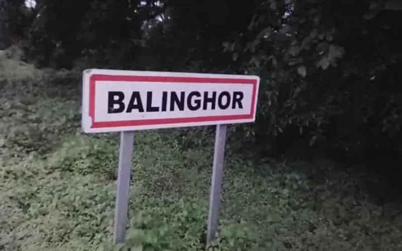 Pourquoi Balinghor pourrait devenir un stimulateur d’emploi en Casamance