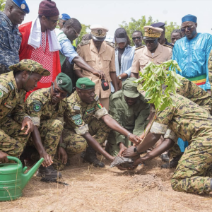 Reboisement 2026 : la caravane écologique poursuit son action à Tambacounda
