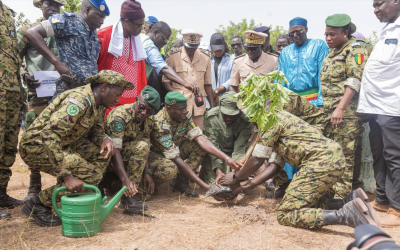Reboisement 2026 : la caravane écologique poursuit son action à Tambacounda