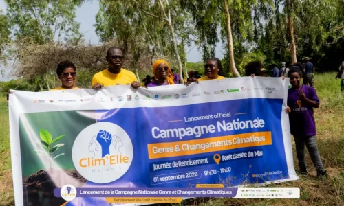 Climat et environnement au Sénégal : les femmes veulent peser davantage dans les décisions
