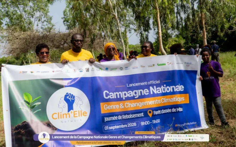 Climat et environnement au Sénégal : les femmes veulent peser davantage dans les décisions