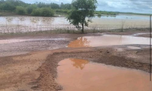 Route Cap Skirring – Ziguinchor : Une voie de souffrance pour les populations de Casamance